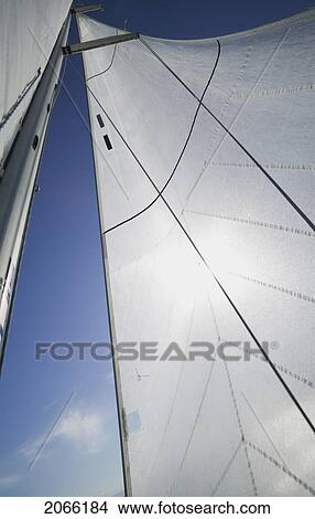Picture - Sail Racing, West Vancouver Yacht Club, West Vancouver, Bc Canada. Fotosearch