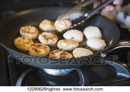 Scallops are sauteed in a skillet in preparation for dinner at the Katmai Wilderness Lodge in Kukak Bay, Katmai National Park & Preserve, Alaska. View Large Photo Image Stock Photograph - Scallops are sauteed in a skillet in preparation for dinner at the Katmai Wilderness Lodge in Kukak Bay, Katmai National Park & Preserve, Alaska.. Fotosearch
