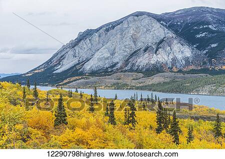 Stock Photograph - Scenic autumn view of Tagish Lake near the South Klondike Highway, Yukon Territory, Canada. Fotosearch
