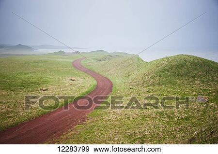 Stock Photo - Scenic view of a red dirt road surrounded by tundra with fog shrouded Bering Sea in the background, St. Paul Island, Southwestern Alaska, Summer. Fotosearch