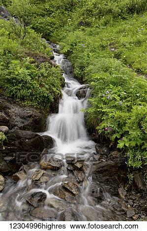 Scenic view of a waterfall in Hatcher Pass, Southcentral Alaska, summer View Large Photo Image Stock Photograph - Scenic view of a waterfall in Hatcher Pass, Southcentral Alaska, summer. Fotosearch