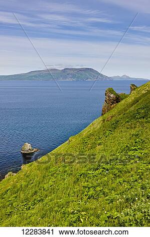 Scenic view of coastal bluffs overlooking the Pacific Ocean near Sand Point, Popof Island, Southwestern Alaska, Summer View Large Photo Image Stock Image - Scenic view of coastal bluffs overlooking the Pacific Ocean near Sand Point, Popof Island, Southwestern Alaska, Summer. Fotosearch