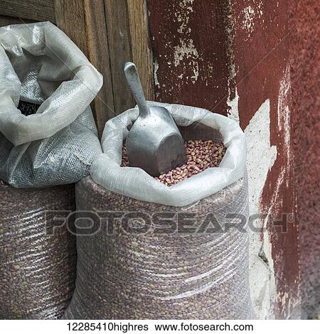 Scoop in a sack of dried beans; Guanajuato, Mexico View Large Photo Image Stock Photograph - Scoop in a sack of dried beans; Guanajuato, Mexico. Fotosearch