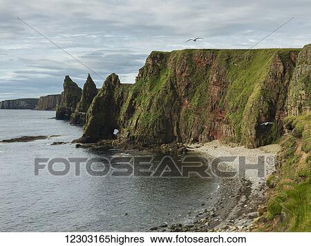 Sea stacks and cliffs along Duncansby Head; John O'Groats, Scotland View Large Photo Image Stock Photograph - Sea stacks and cliffs along Duncansby Head; John O'Groats, Scotland. Fotosearch