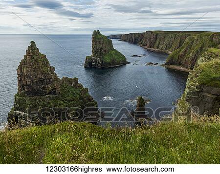 Sea stacks and cliffs along Duncansby Head; John O'Groats, Scotland View Large Photo Image Stock Photograph - Sea stacks and cliffs along Duncansby Head; John O'Groats, Scotland. Fotosearch