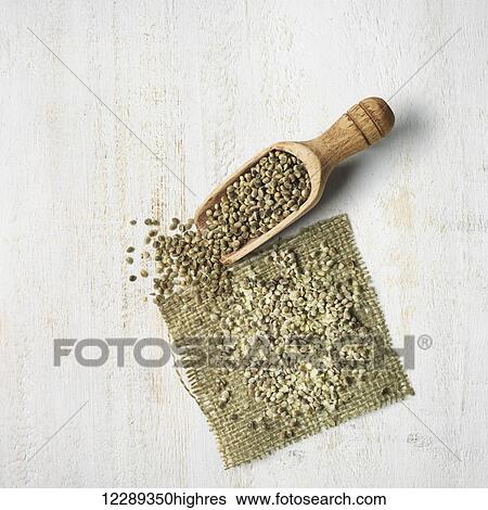 Stock Photograph - Seeds and grain on a piece of burlap and in a wooden scoop; Toronto, Ontario, Canada. Fotosearch