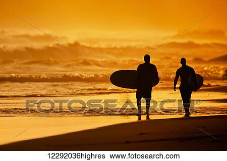 Silhouettes of Surfers on the Beach at Sunset View Large Photo Image Stock Photograph - Silhouettes of Surfers on the Beach at Sunset. Fotosearch