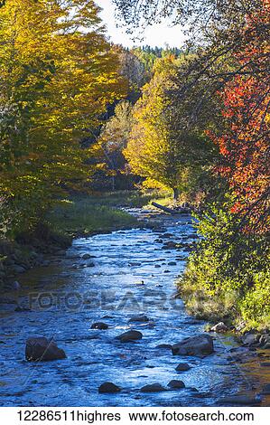 Small river with rocks in autumn; Ways Mills, Quebec, Canada View Large Photo Image Stock Photograph - Small river with rocks in autumn; Ways Mills, Quebec, Canada. Fotosearch