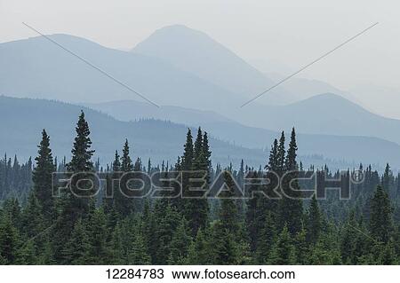 Stock Image - Smoke from wildfires in central Alaska envelopes the Teklanika River Valley, Denali National Park; Alaska, United States of America. Fotosearch