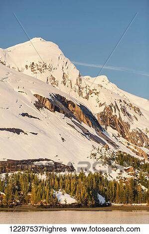 Stock Photograph - Snow covered cliffs and evergreen trees bathed in sunset light, Kings Bay, Prince William Sound; Whittier, Alaska, United States of America. Fotosearch