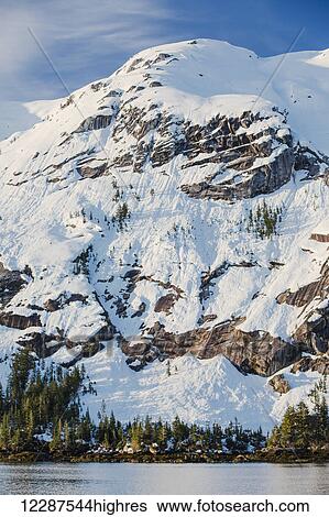 Snow covered cliffs and evergreen trees bathed in sunset light on the shore of Kings Bay, Prince William Sound; Alaska, United States of America View Large Photo Image Stock Photograph - Snow covered cliffs and evergreen trees bathed in sunset light on the shore of Kings Bay, Prince William Sound; Alaska, United States of America. Fotosearch
