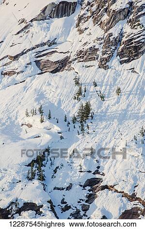 Snow covered cliffs and evergreen trees bathed in sunset light on the shore of Kings Bay, Prince William Sound; Alaska, United States of America View Large Photo Image Stock Photograph - Snow covered cliffs and evergreen trees bathed in sunset light on the shore of Kings Bay, Prince William Sound; Alaska, United States of America. Fotosearch