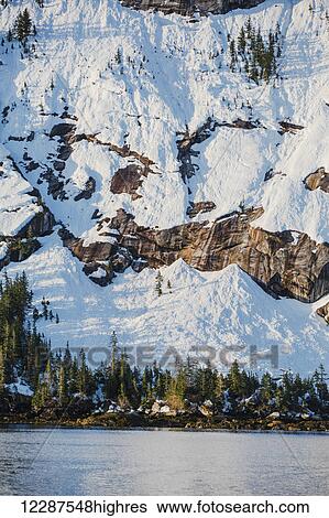 Stock Photograph - Snow covered cliffs and evergreen trees bathed in sunset light on the shore of Kings Bay, Prince William Sound; Whittier, Alaska, United States of America. Fotosearch