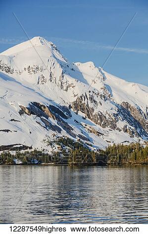 Stock Photograph - Snow covered cliffs and evergreen trees bathed in sunset light on the shore of Kings Bay, Prince William Sound; Whittier, Alaska, United States of America. Fotosearch