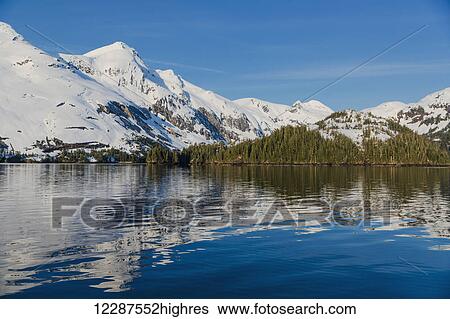Stock Photograph - Snow covered cliffs and evergreen trees bathed in sunset light on the shore of Kings Bay, Prince William Sound; Whittier, Alaska, United States of America. Fotosearch