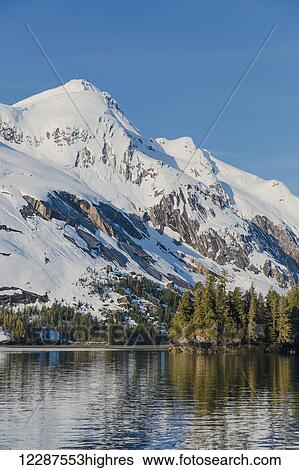 Stock Photograph - Snow covered cliffs and evergreen trees bathed in sunset light on the shore of Kings Bay, Prince William Sound; Whittier, Alaska, United States of America. Fotosearch