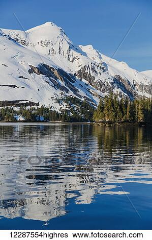 Stock Photograph - Snow covered cliffs and evergreen trees bathed in sunset light on the shore of Kings Bay, Prince William Sound; Whittier, Alaska, United States of America. Fotosearch