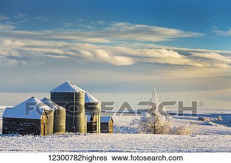 Snow covered metal and wooden grain bins with frosted trees, bushes and stubble with clouds and blue sky; Rosebud, Alberta, Canada View Large Photo Image Stock Photograph - Snow covered metal and wooden grain bins with frosted trees, bushes and stubble with clouds and blue sky; Rosebud, Alberta, Canada. Fotosearch