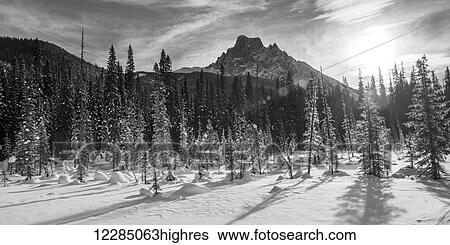 Stock Photograph - Snow on the rugged Canadian Rocky Mountains and a snow covered field, Yoho National Park; Field, British Columbia, Canada. Fotosearch