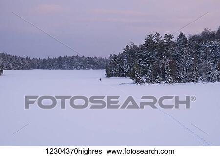 Snowshoeing across a frozen snow covered lake; Ontario, Canada View Large Photo Image Stock Photograph - Snowshoeing across a frozen snow covered lake; Ontario, Canada. Fotosearch