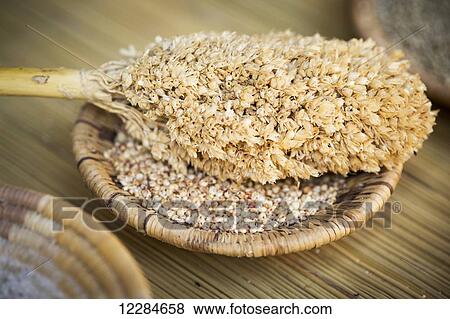 Stock Photo - Sorghum head on a handwoven bowl; Maun, Botswana. Fotosearch