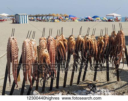 Stock Photograph - Squid by a fire on Almunecar beach; Andalusia, Spain. Fotosearch