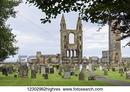 St. Andrews Cathedral ruins and cemetery; St. Andrews, Fife, Scotland View Large Photo Image Stock Photograph - St. Andrews Cathedral ruins and cemetery; St. Andrews, Fife, Scotland. Fotosearch
