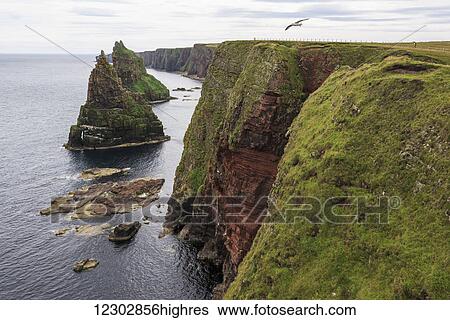 Stacks of Duncansby; Scotland View Large Photo Image Stock Photograph - Stacks of Duncansby; Scotland. Fotosearch
