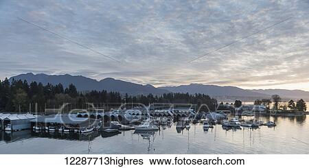Stanley Park and harbour; Vancouver, British Columbia, Canada View Large Photo Image Stock Photograph - Stanley Park and harbour; Vancouver, British Columbia, Canada. Fotosearch