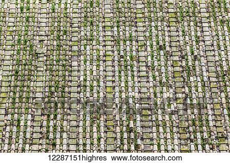 Stock Photograph - Stonework with plants growing between the stones; Rome, Italy. Fotosearch