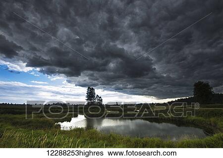 Stock Photograph - Storm clouds gather over the flats; Pitt Meadows, British Columbia, Canada. Fotosearch