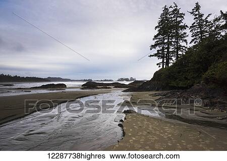 Stream of water flowing on the beach from the ocean; Tofino, British Columbia, Canada View Large Photo Image Stock Photograph - Stream of water flowing on the beach from the ocean; Tofino, British Columbia, Canada. Fotosearch
