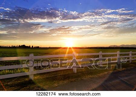Picture - Sunlight shining across a grass field and white rail fence at sunset; British Columbia, Canada. Fotosearch