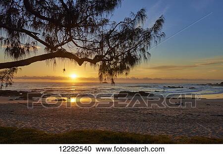 Sunrise on the town beach; Port Macquarie, New South Wales, Australia View Large Photo Image Stock Image - Sunrise on the town beach; Port Macquarie, New South Wales, Australia. Fotosearch