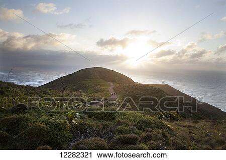 Stock Image - Sunset at Cape Reinga; North Island, New Zealand. Fotosearch