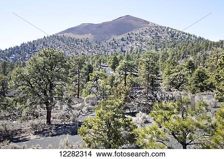 Picture - Sunset Crater Volcano; Arizona, United States of America. Fotosearch