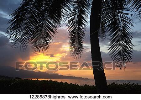 Stock Photograph - Sunset on the north shore of Maui; Spreckelsville, Maui, Hawaii, United States of America. Fotosearch