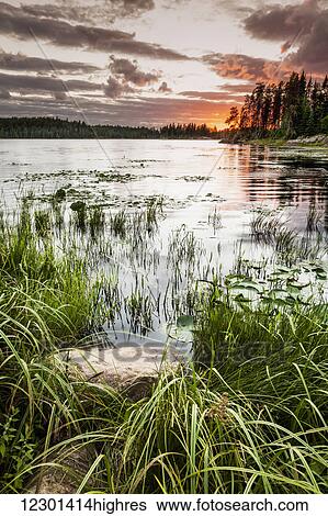 Sunset over a pond; Thunder Bay, Ontario, Canada View Large Photo Image Stock Photograph - Sunset over a pond; Thunder Bay, Ontario, Canada. Fotosearch