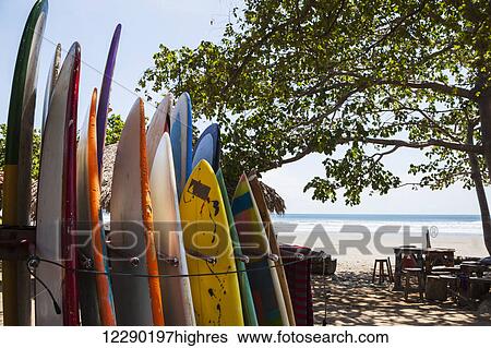 Surf boards available for rent in Playa Hermosa; Nicaragua View Large Photo Image Stock Photograph - Surf boards available for rent in Playa Hermosa; Nicaragua. Fotosearch