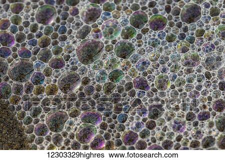 Surf bubbles sparkle on the beach; Cannon Beach, Oregon, United States of America View Large Photo Image Stock Photograph - Surf bubbles sparkle on the beach; Cannon Beach, Oregon, United States of America. Fotosearch
