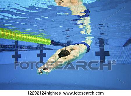 Swimmer in the Pool Underwater View Large Photo Image Stock Photograph - Swimmer in the Pool Underwater. Fotosearch