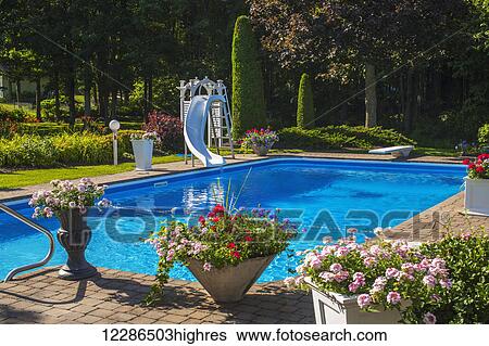 Swimming pool with slide and potted flowers on the patio; Granby, Quebec, Canada View Large Photo Image Stock Photograph - Swimming pool with slide and potted flowers on the patio; Granby, Quebec, Canada. Fotosearch