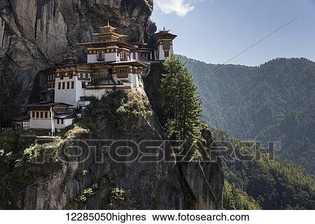 Taktsang Palphug Monastery (Tiger's Nest); Paro, Bhutan View Large Photo Image Stock Photograph - Taktsang Palphug Monastery (Tiger's Nest); Paro, Bhutan. Fotosearch