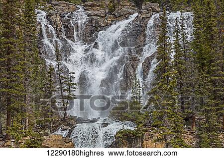 Stock Photograph - Tangle Falls, Jasper National Park; Alberta, Canada. Fotosearch
