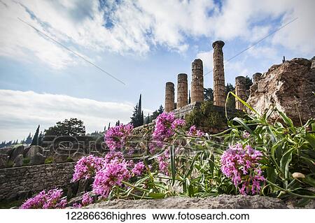 Temple of Apollo; Delphi, Greece View Large Photo Image Stock Photograph - Temple of Apollo; Delphi, Greece. Fotosearch