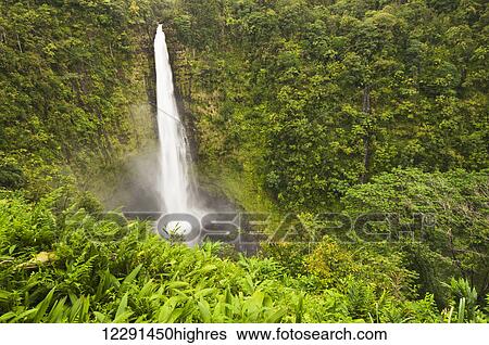 Stock Photograph - The 400-foot Kahuna Falls on the Big Island of Hawaii spill unabated into a deep bowl in the rainforest; Island of Hawaii, Hawaii, United States of America. Fotosearch