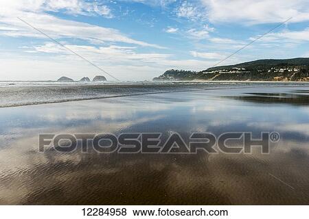 The beach reflects near Netarts Bay on the Oregon Coast; Netarts, Oregon, United States of America View Large Photo Image Stock Photo - The beach reflects near Netarts Bay on the Oregon Coast; Netarts, Oregon, United States of America. Fotosearch