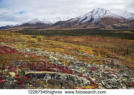 Stock Photograph - The landscape along the Dempster Highway is alive with autumn colours; Yukon, Canada. Fotosearch