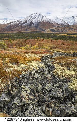 The landscape along the Dempster Highway is alive with autumn colours; Yukon, Canada View Large Photo Image Stock Photograph - The landscape along the Dempster Highway is alive with autumn colours; Yukon, Canada. Fotosearch
