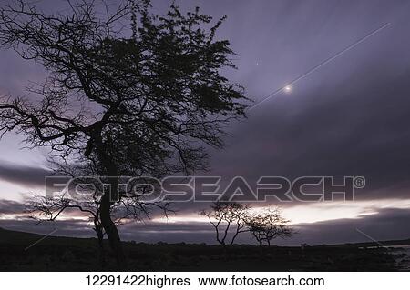 Stock Photograph - The moon shines through clouds on the southwestern coast of Maui; Maui, Hawaii, United States of America. Fotosearch